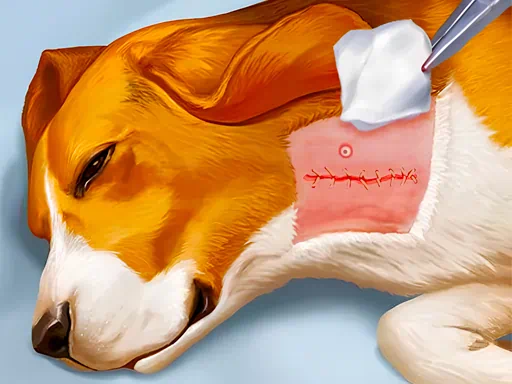 Larong Ospital ng Aso